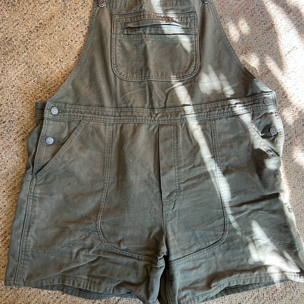 Patagonia green overalls
